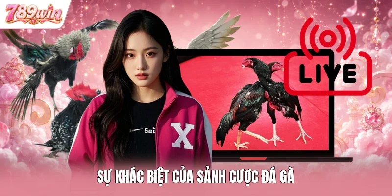 Sự khác biệt của sảnh cược đá gà